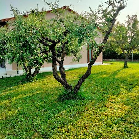 Il Melograno Daire Lucca Dış mekan fotoğraf